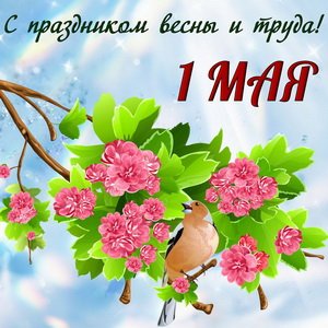 Желаю удачи на даче! С началом дачного сезона!